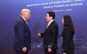 Chủ tịch nước Lương Cường gặp Tổng thống Hoa Kỳ Donald Trump