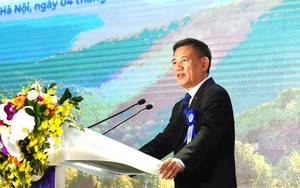 Phát triển VINAFOR trở thành tập đoàn lâm nghiệp quy mô lớn