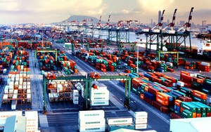 Chiến lược phát triển dịch vụ logistics Việt Nam thời kỳ 2025 - 2035, tầm nhìn đến 2050