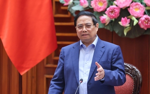 Thủ tướng chủ trì họp Thường trực Chính phủ: Triển khai ngay nhiều giải pháp cấp bách khắc phục hậu quả bão lũ