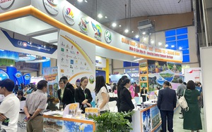 Tour hướng về cội nguồn, tìm hiểu lịch sử hút khách dịp 30/4