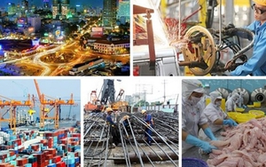 Thành lập Hội đồng Tư vấn chính sách