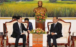 Chủ tịch nước Lương Cường gặp các đồng chí nguyên lãnh đạo cấp cao Lào