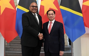 Phó Thủ tướng, Bộ trưởng Ngoại giao Bùi Thanh Sơn hội đàm với Bộ trưởng Ngoại giao và Hợp tác Đông Phi Tanzania