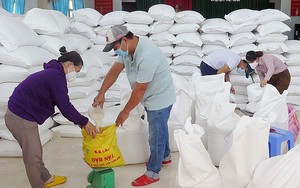 Chỉ đạo, điều hành của Chính phủ, Thủ tướng Chính phủ ngày 13/5/2025 (2)