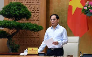 Tập trung triển khai hiệu quả những kết quả của Hội nghị P4G