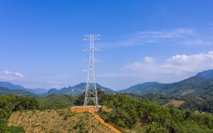Dự án đường dây 500kV Lào Cai - Vĩnh Yên: Phấn đấu hoàn thành bàn giao mặt bằng trong tháng 5/2025