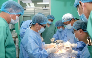 Bệnh viện Trung ương Huế đồng thời thực hiện thành công 4 ca ghép tim, gan, giác mạc xuyên Việt