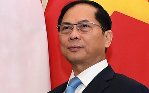 Phó Thủ tướng, Bộ trưởng Ngoại giao Bùi Thanh Sơn điện đàm với Bộ trưởng Ngoại giao Đức