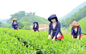 Khẩn trương sửa đổi tiêu chí phân bổ vốn Chương trình MTQG phát triển KT-XH vùng dân tộc thiểu số, miền núi