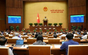 Thông qua Luật sửa đổi, bổ sung một số điều của Bộ luật Hình sự: Bỏ án tử hình với 8 tội danh