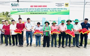 Bình Điền đẩy mạnh Dự án "Xây dựng mô hình canh tác lúa giảm phát thải phục vụ phát triển bền vững"
