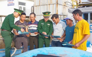 Quảng Ngãi phát động cao điểm xử lý vi phạm khai thác IUU