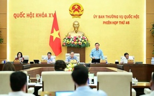 Đánh giá cao sự chủ động, nỗ lực của Chính phủ trong đảm bảo tiến độ sắp xếp đơn vị hành chính cấp tỉnh, cấp xã