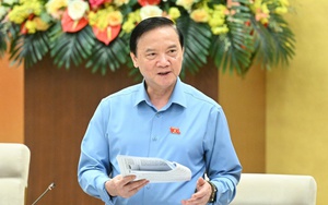 'Đại biểu chuyên trách chỉ nên tập trung làm đại biểu'