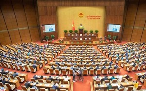 Nghị quyết của Ủy ban Thường vụ Quốc hội khóa XV