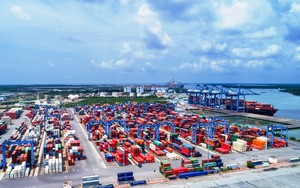 Thành lập Hội đồng thẩm định chủ trương xây dựng Tổ hợp khu cảng Cái Mép Hạ hạ lưu, trung tâm logistics