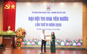 Phó Chủ tịch nước trao danh hiệu Anh hùng lao động cho một công nhân ngành than