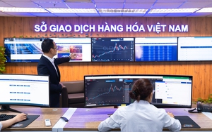 Sức mạnh giành thị phần: 5 công ty môi giới hàng hóa giữ vị thế áp đảo