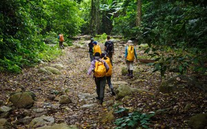 Sở Du lịch Ninh Bình khuyến cáo sau vụ việc ở rừng Cúc Phương