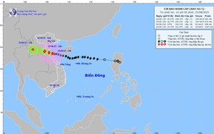 Bão số 5 khá dị thường, dễ gây tâm lý chủ quan