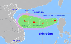 Ứng phó với áp thấp nhiệt đới trên biển Đông