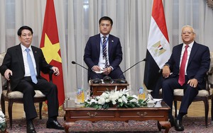 Chủ tịch nước Lương Cường hội kiến Chủ tịch Hạ viện, Thượng Viện Ai Cập