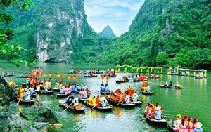 Dự kiến sửa quy định về xử lý vi phạm hành chính lĩnh vực du lịch