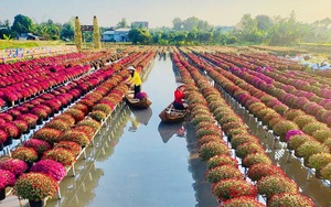 Festival Hoa-Kiểng Sa Đéc 2025: Bứt phá để khẳng định thương hiệu du lịch quốc tế