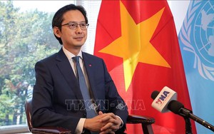 Việt Nam sẵn sàng gánh vác các công việc chung của Liên Hợp Quốc