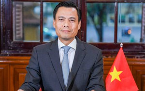 Việt Nam khẳng định vai trò là thành viên có trách nhiệm của Liên Hợp Quốc