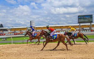 Đề xuất quy định mới về kinh doanh đặt cược đua ngựa, đua chó, bóng đá quốc tế