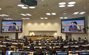 LHQ đánh giá cao thành tựu, đóng góp của Việt Nam trong phòng, chống dịch bệnh toàn cầu