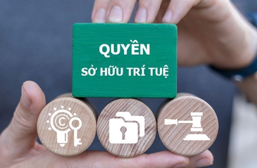 Gov't strengthens crackdown on infringements of intellectual property rights