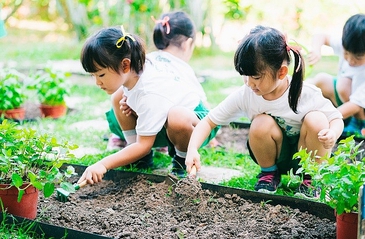 Gov’t adopts action program on environmental protection, climate resilience