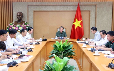 Chính sách phòng, chống dịch bệnh chăn nuôi phải thống nhất, đồng bộ, tránh chồng chéo