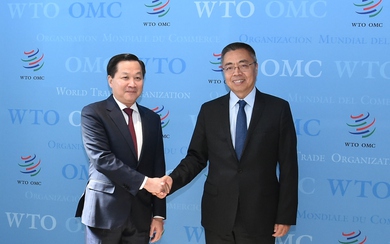 Phó Thủ tướng Lê Minh Khái làm việc với Phó Tổng Giám đốc WTO