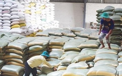 Xuất cấp gạo cho 7 tỉnh dịp Tết Nguyên đán Quý Mão và giáp hạt năm 2023