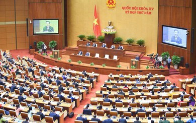 Các tổ chức quốc tế uy tín dự báo tích cực triển vọng kinh tế Việt Nam