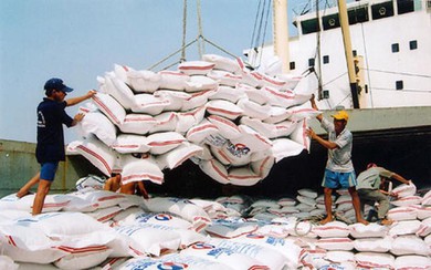 Phát triển đa dạng hóa các thị trường xuất khẩu gạo