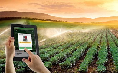 Đẩy mạnh chuyển đổi số trong khu vực kinh tế hợp tác, hợp tác xã