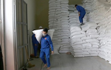 Xuất cấp hơn 1444 tấn gạo cho 5 tỉnh