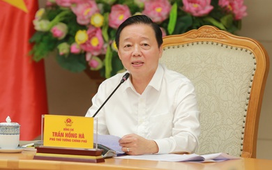 Xác định lĩnh vực, tiêu chí trọng tâm của dự án được cấp tín dụng xanh, phát hành trái phiếu xanh