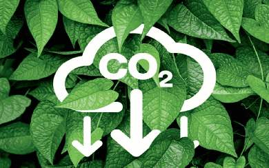 Quy định về sàn giao dịch các-bon trong nước