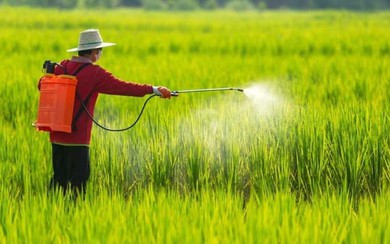 Quy định mới về điều kiện sản xuất, buôn bán thuốc bảo vệ thực vật