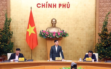 Gỡ 'thẻ vàng' IUU: Rà soát toàn diện, sẵn sàng cho đợt kiểm tra của EC