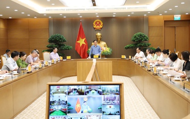Kiên quyết chấn chỉnh tình trạng 'mua bán' mã số vùng trồng, bảo vệ uy tín nông sản Việt
