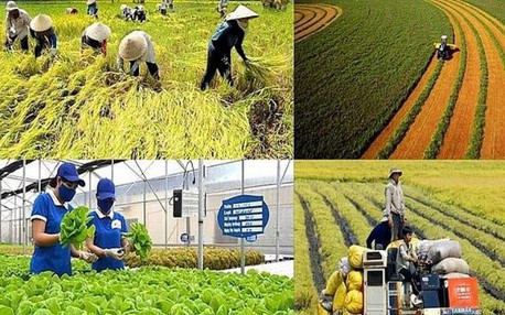 政府规定免征农业土地使用税的对象