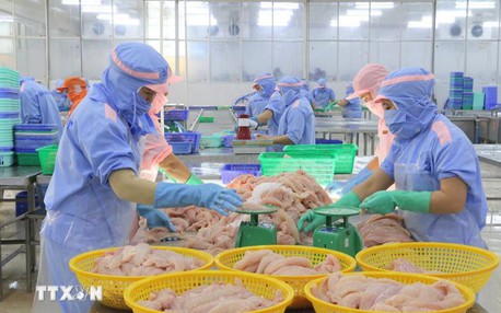 2026年前两月越南农林水产品出口额同比增长17.1%