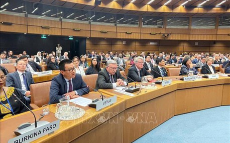 越南与联合国加强合作，携手防范打击犯罪
